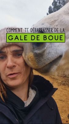Dire adieu à la gale de boue !